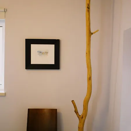 Casa Oliva-casa Da Eira