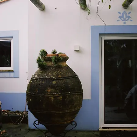 Casa Oliva-casa Da Eira Appartamento Porto de Mós